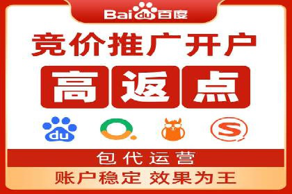 百度竞价代运营公司成功案例揭秘：策略与执行